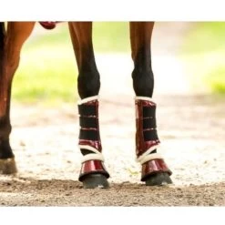 HB Ruitersport Beinschutz Rosa Shetland -Reitsportbedarf hb 226 burgundy.086f35