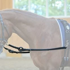 Kavalkade Ausbindezügel Ecoline Schwarz -Reitsportbedarf kavalkade 26101 02.6af6ec