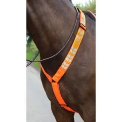 Shires Fliegenhaube Reflektierend Fluor Roze -Reitsportbedarf shires 9405 orange 2.eb30c2