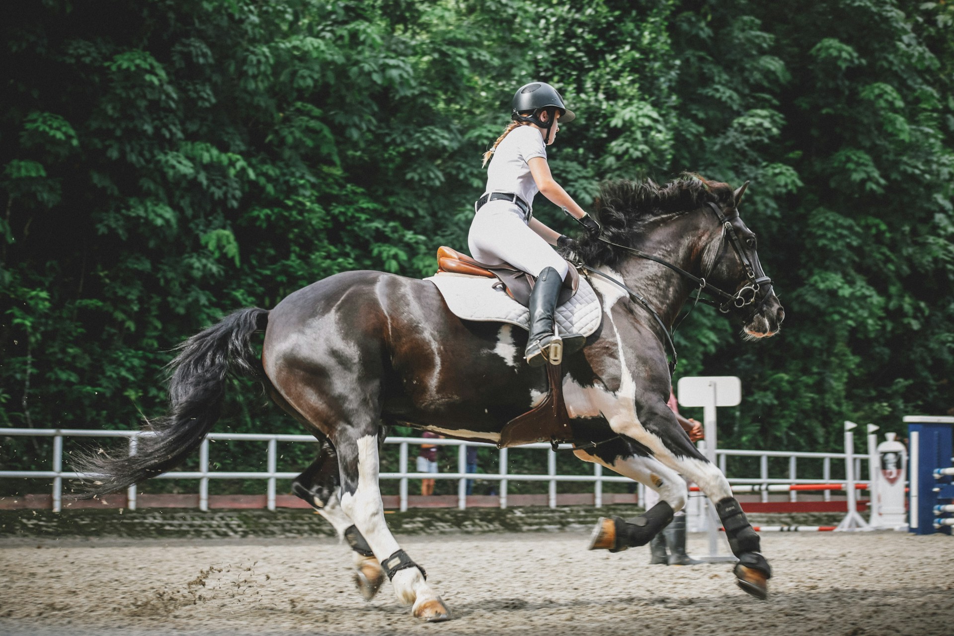 Reitsportbedarf -Reitsportbedarf lily banse vLrlxsNKE3Y unsplash